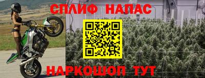 прущий лед Будённовск