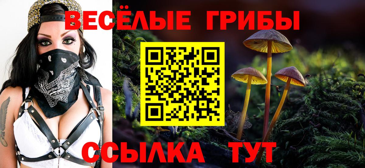 Псилоцибиновые грибы GOLDEN TEACHER Белореченск