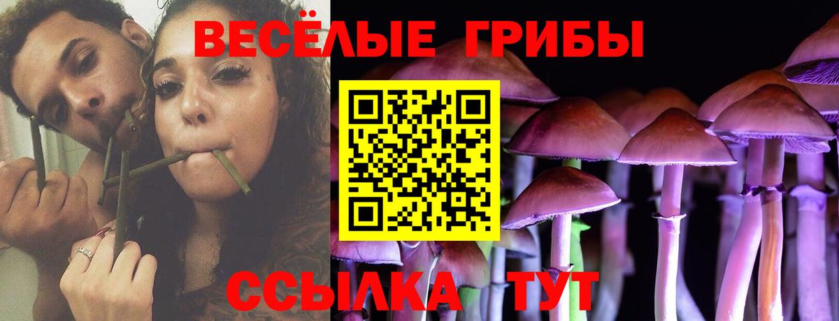 Псилоцибиновые грибы прущие грибы  Вход с VPN  Белореченск 